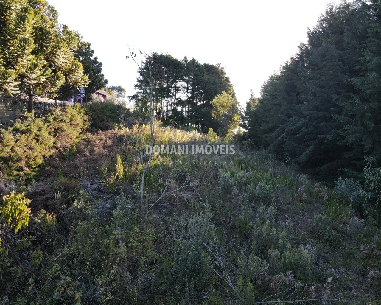 Plot for sale of 1,230 m² in Campos do Jordão, SP, Brazil
