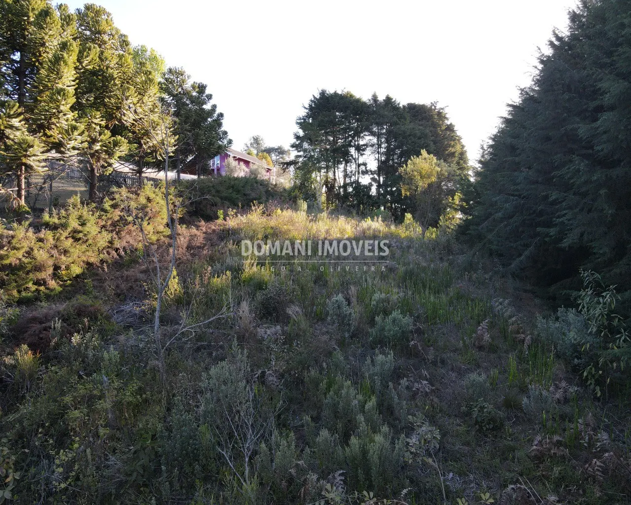 Plot for sale of 1,230 m² in Campos do Jordão, SP, Brazil