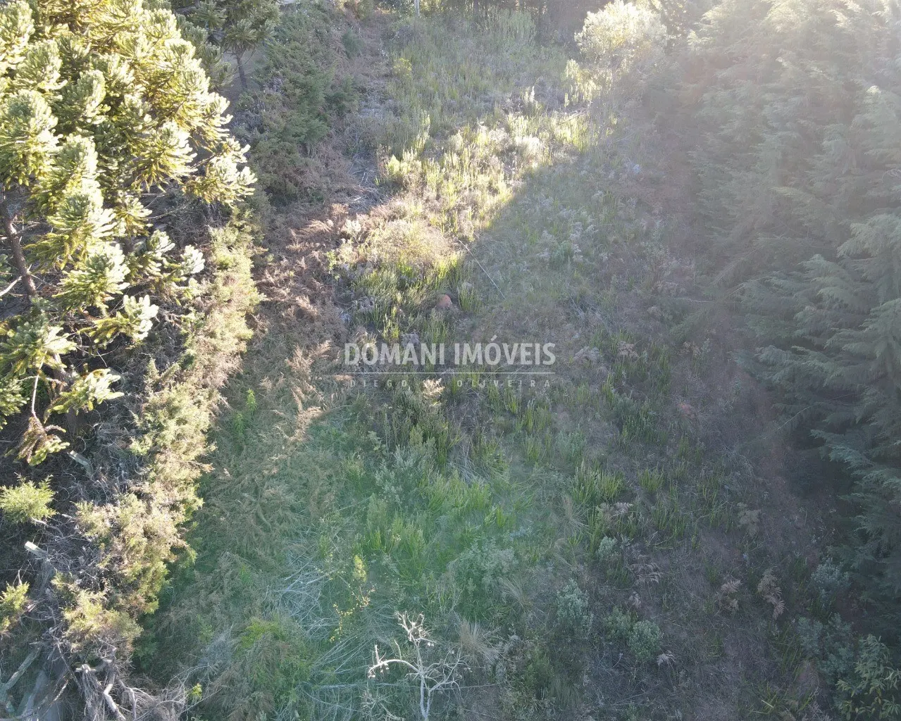 Plot for sale of 1,230 m² in Campos do Jordão, SP, Brazil