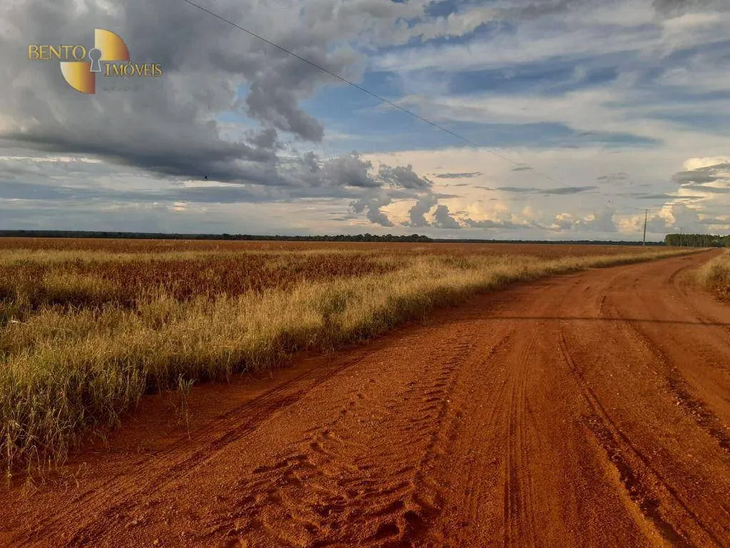 Fazenda à venda de 2.043 ha em Tapurah, MT, Brasil
