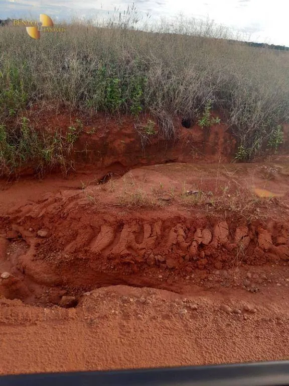 Fazenda à venda de 2.043 ha em Tapurah, MT, Brasil