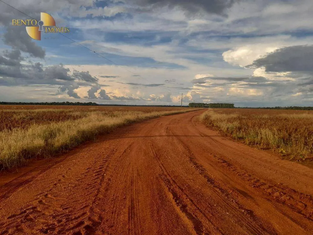 Fazenda à venda de 2.043 ha em Tapurah, MT, Brasil