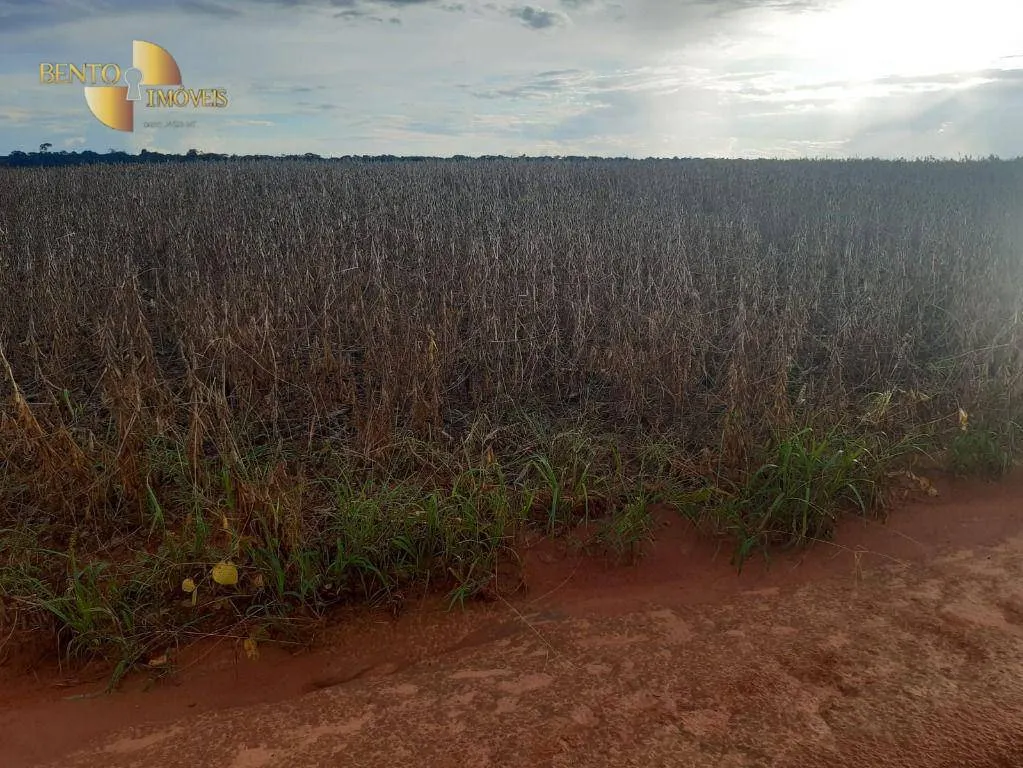 Fazenda à venda de 2.043 ha em Tapurah, MT, Brasil