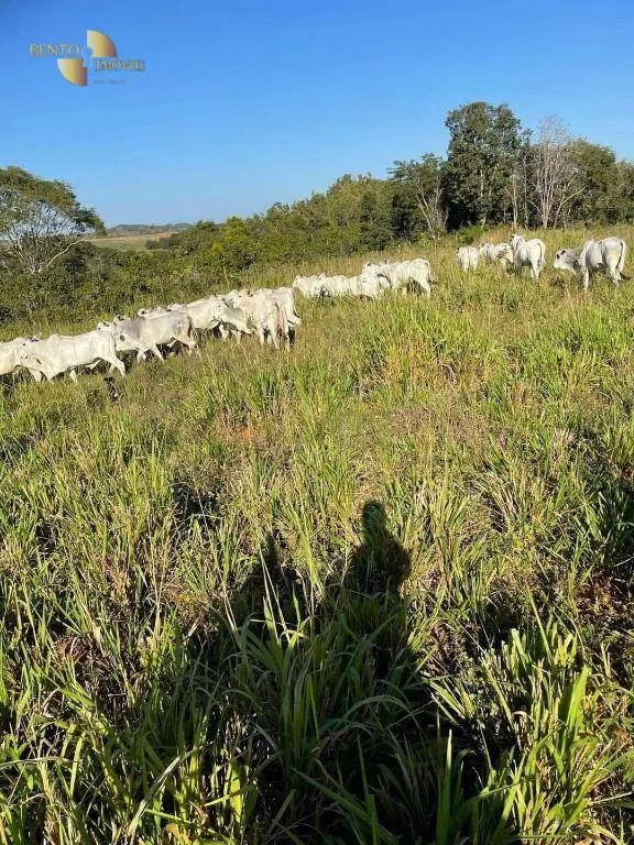 Fazenda à venda de 1.160 ha em Primavera do Leste, MT, Brasil