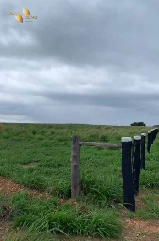 Fazenda à venda de 1.160 ha em Primavera do Leste, MT, Brasil