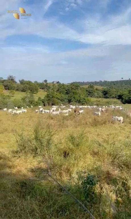 Fazenda à venda de 1.160 ha em Primavera do Leste, MT, Brasil