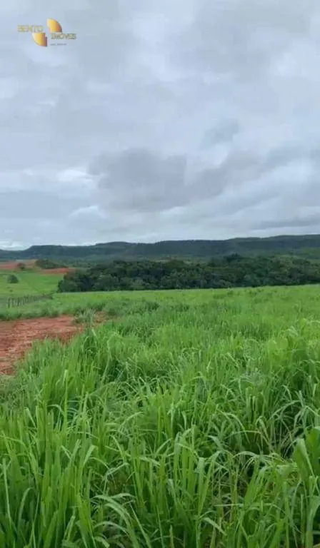 Fazenda à venda de 1.160 ha em Primavera do Leste, MT, Brasil