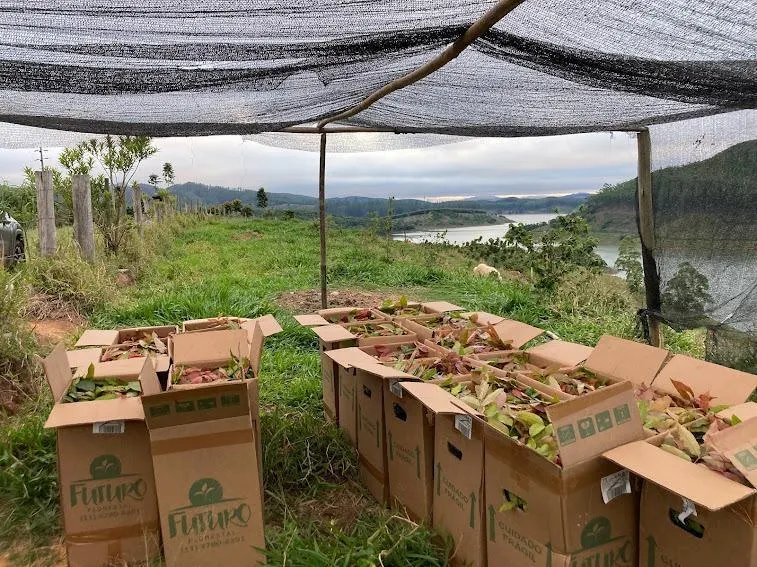 Chácara à venda de 2 ha em Natividade da Serra, SP, Brasil