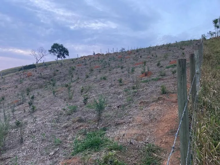 Chácara à venda de 2 ha em Natividade da Serra, SP, Brasil