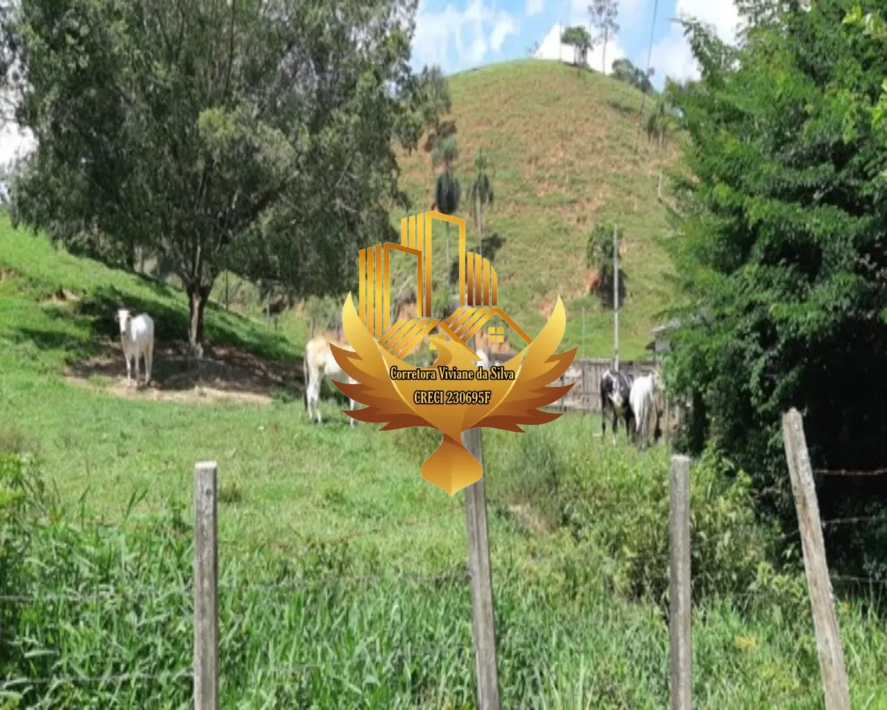 Farm for sale of 299 acres in Jacareí, SP, Brazil