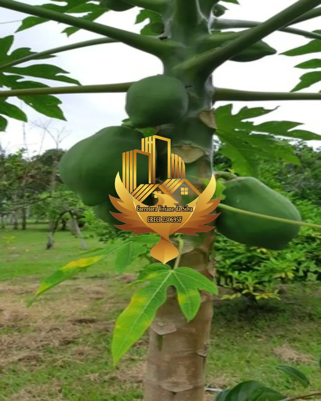 Farm for sale of 299 acres in Jacareí, SP, Brazil