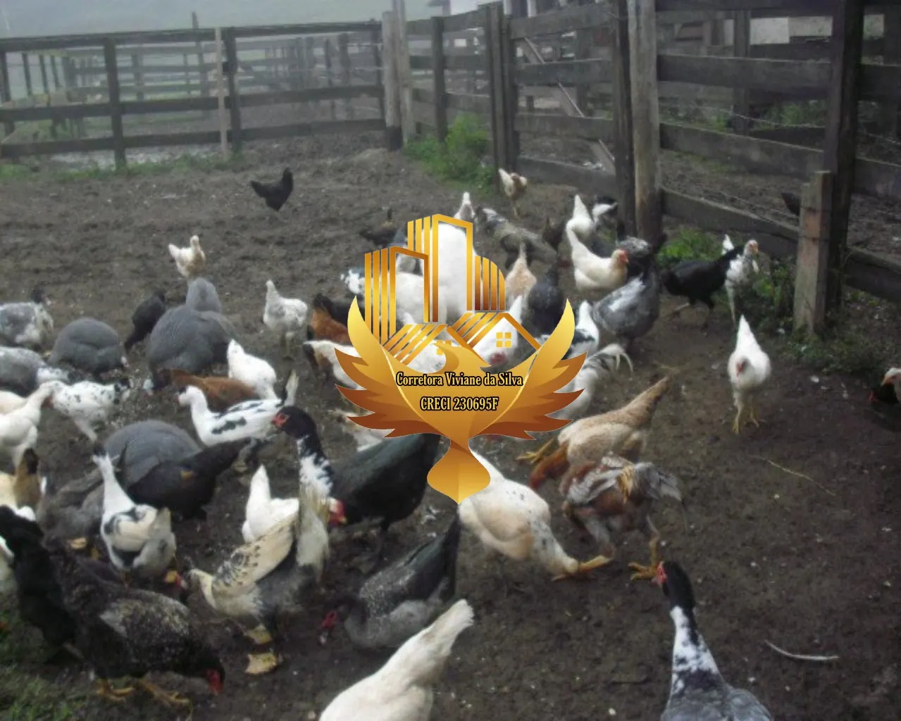 Farm for sale of 299 acres in Jacareí, SP, Brazil