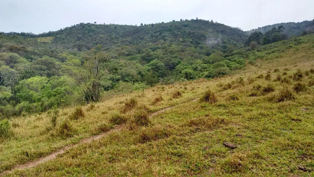 Sítio à venda de 29 ha em Sorocaba, SP, Brasil
