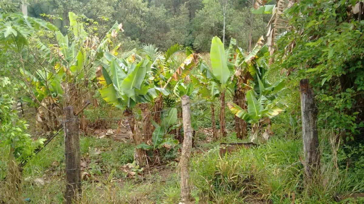 Sítio à venda de 29 ha em Sorocaba, SP, Brasil
