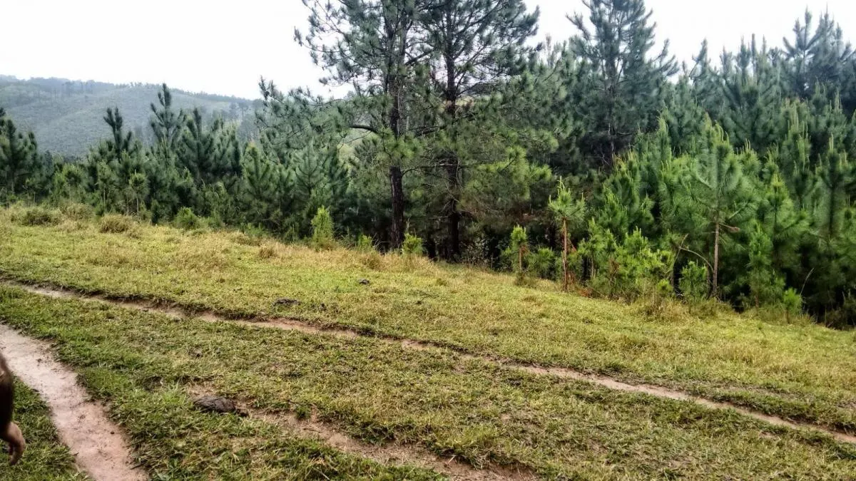 Sítio à venda de 29 ha em Sorocaba, SP, Brasil