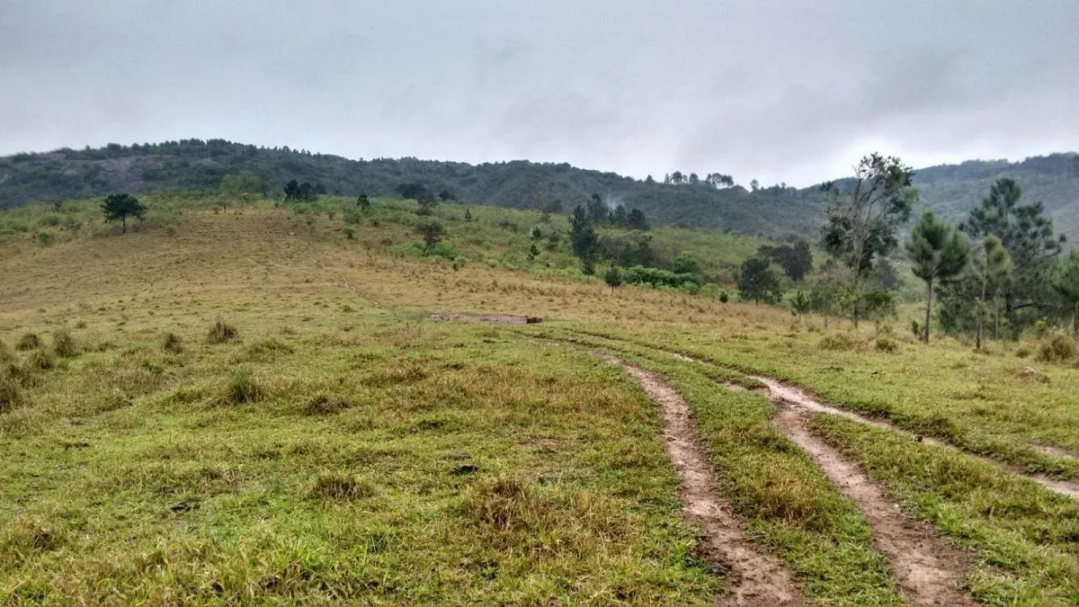 Sítio à venda de 29 ha em Sorocaba, SP, Brasil