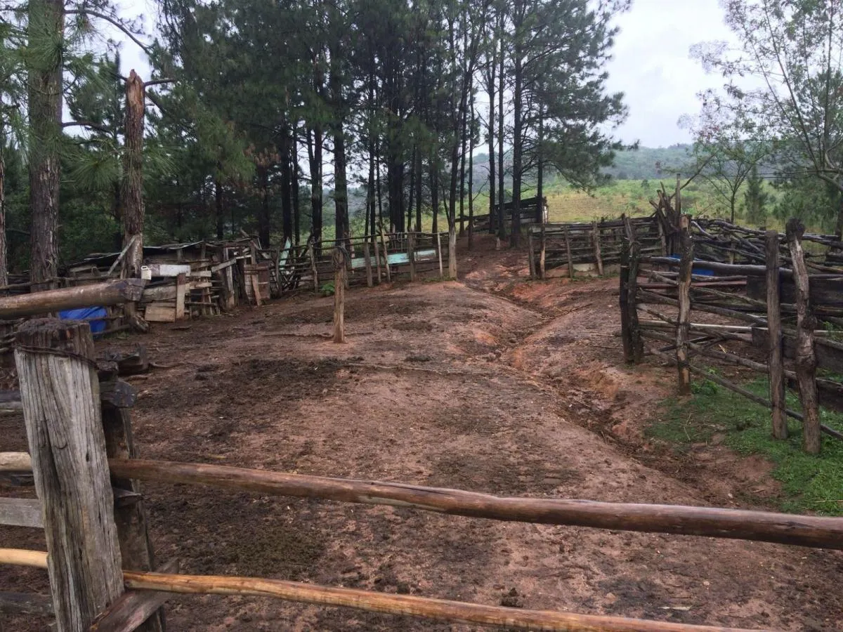 Sítio à venda de 29 ha em Sorocaba, SP, Brasil