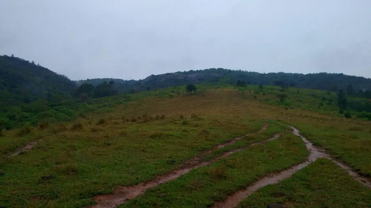 Sítio à venda de 29 ha em Sorocaba, SP, Brasil