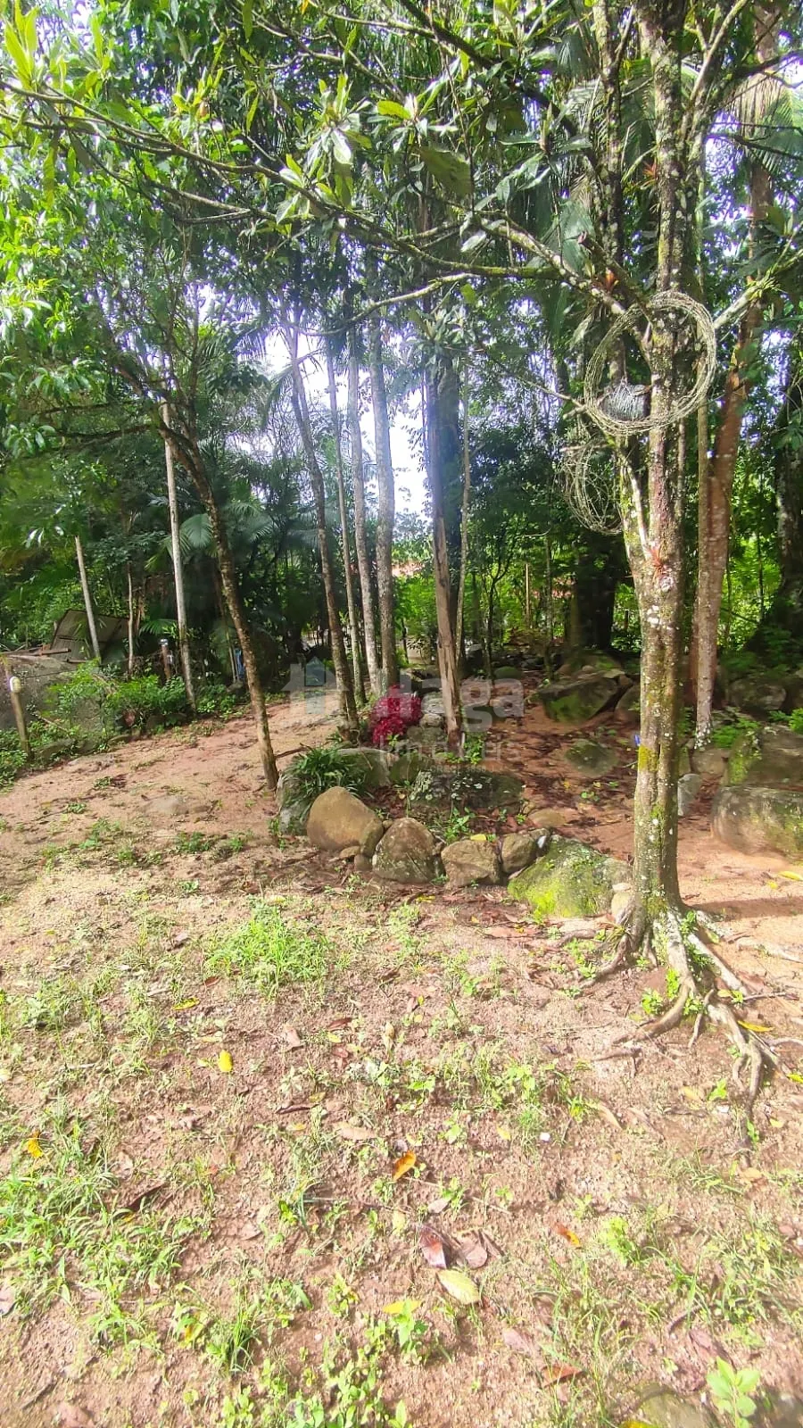 Fazenda à venda de 900 m² em São João Batista, SC, Brasil