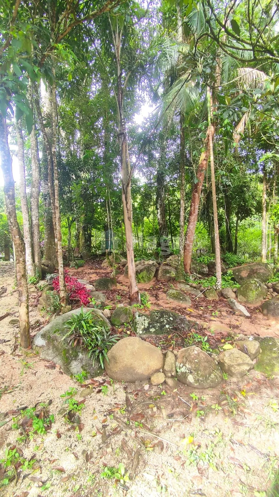 Fazenda à venda de 900 m² em São João Batista, SC, Brasil