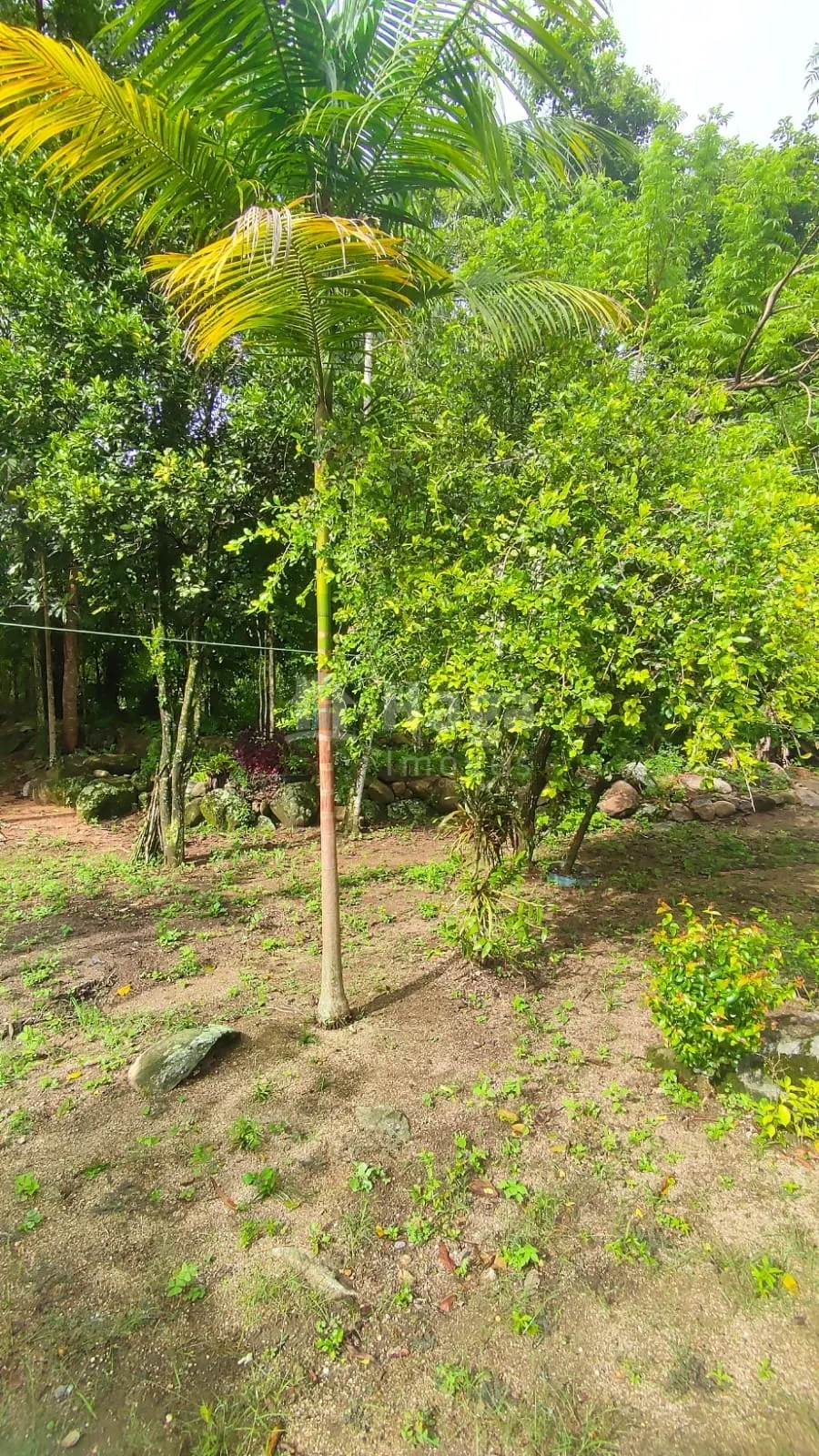 Fazenda à venda de 900 m² em São João Batista, SC, Brasil
