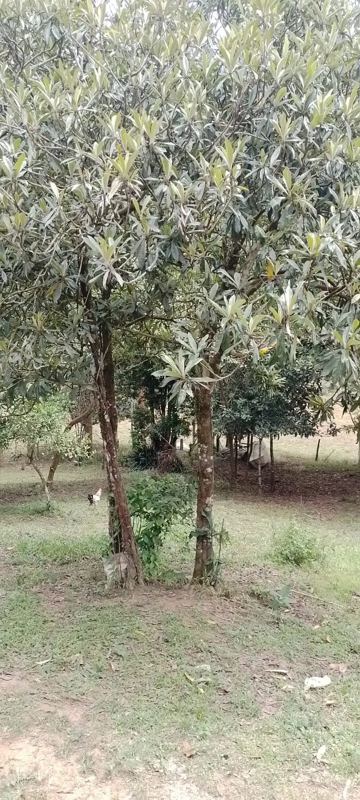 Country home for sale of 2,761 m² in São José dos Campos, SP, Brazil