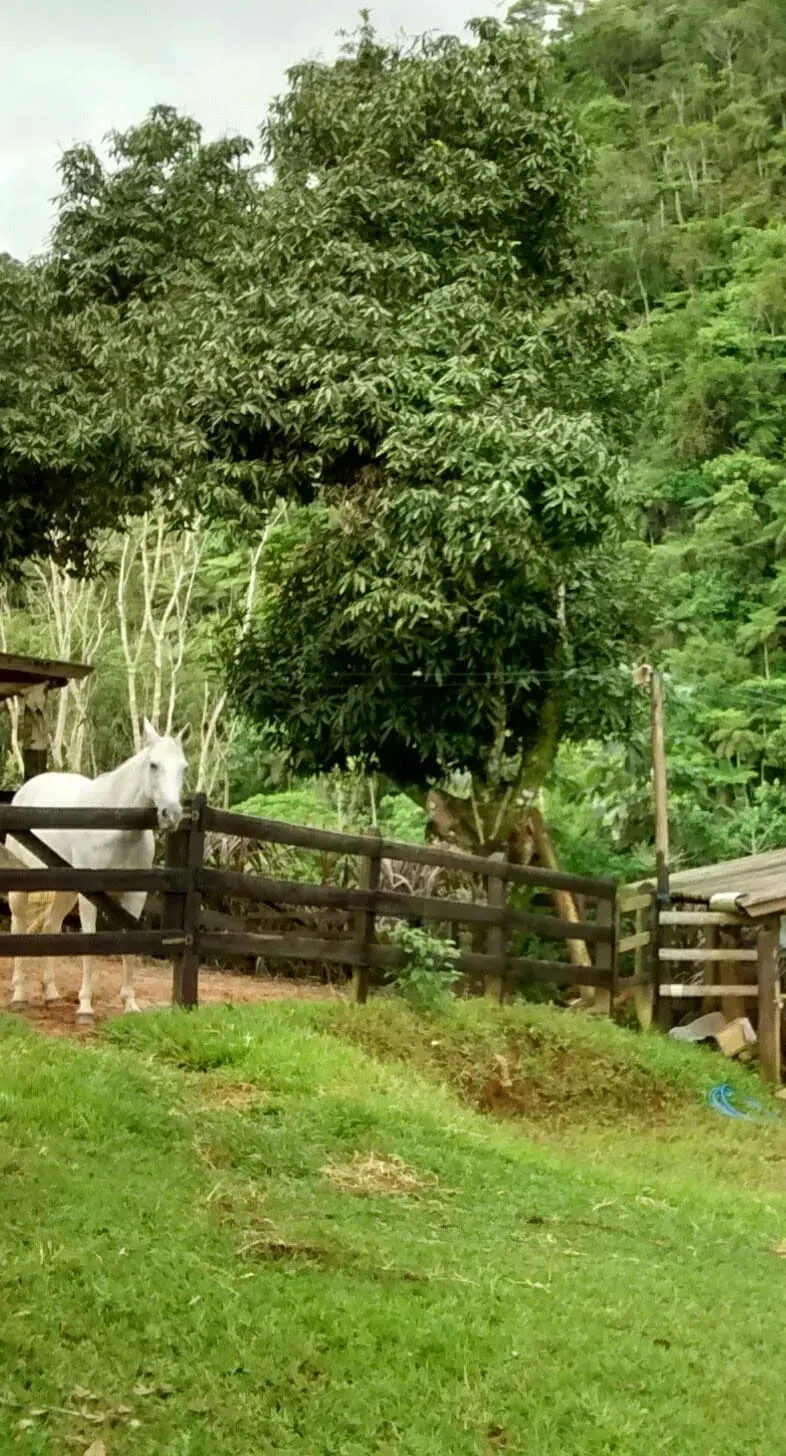 Country home for sale of 2,761 m² in São José dos Campos, SP, Brazil