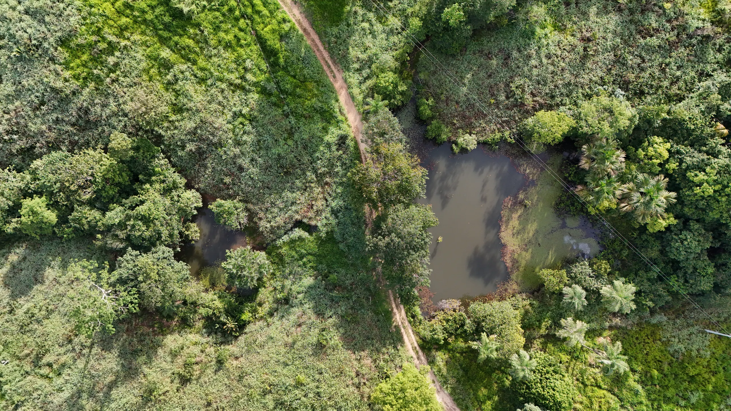Fazenda à venda de 71 ha em Minaçu, GO, Brasil