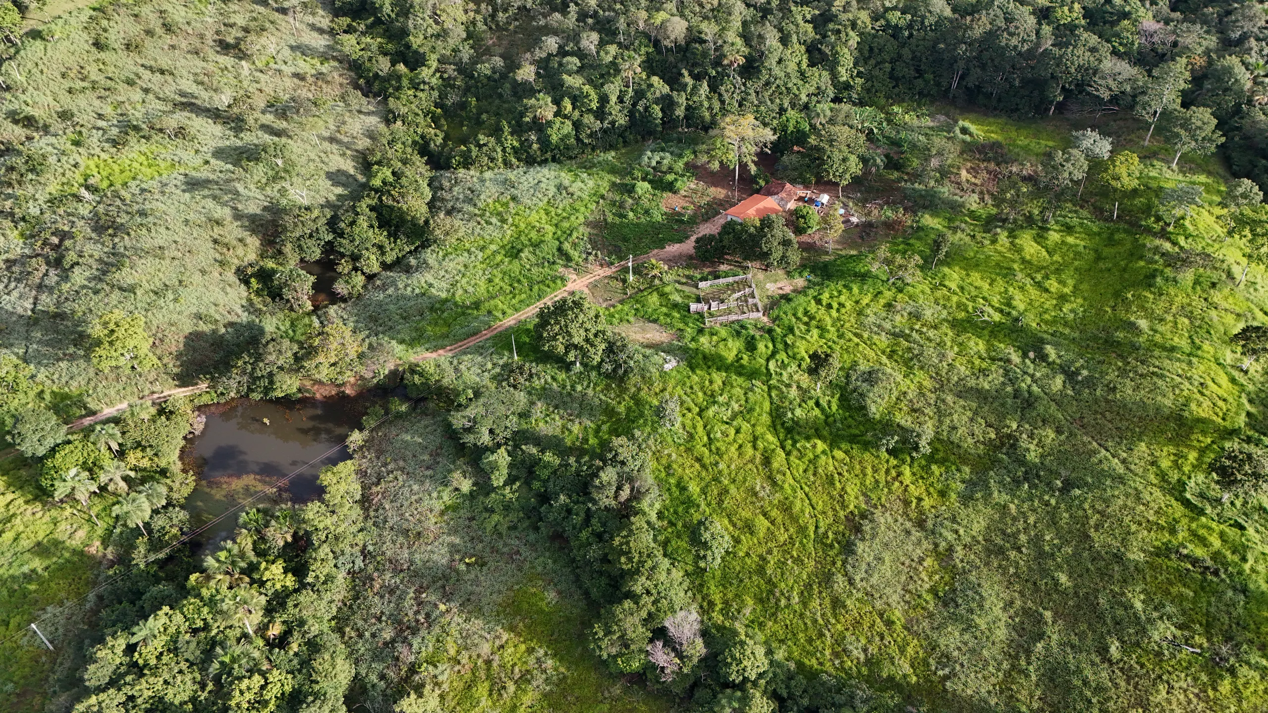 Fazenda à venda de 71 ha em Minaçu, GO, Brasil