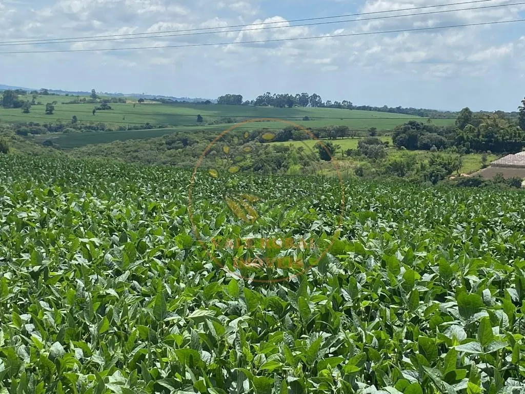 Fazenda à venda de 140 ha em Itapetininga, SP, Brasil