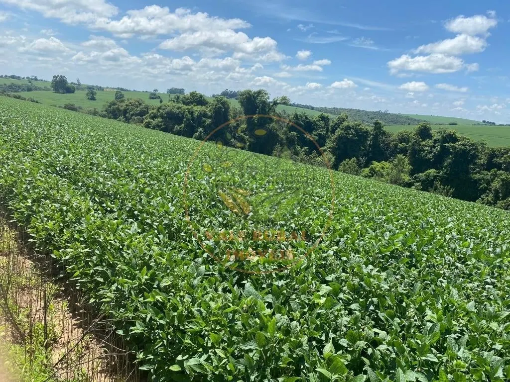 Fazenda à venda de 140 ha em Itapetininga, SP, Brasil