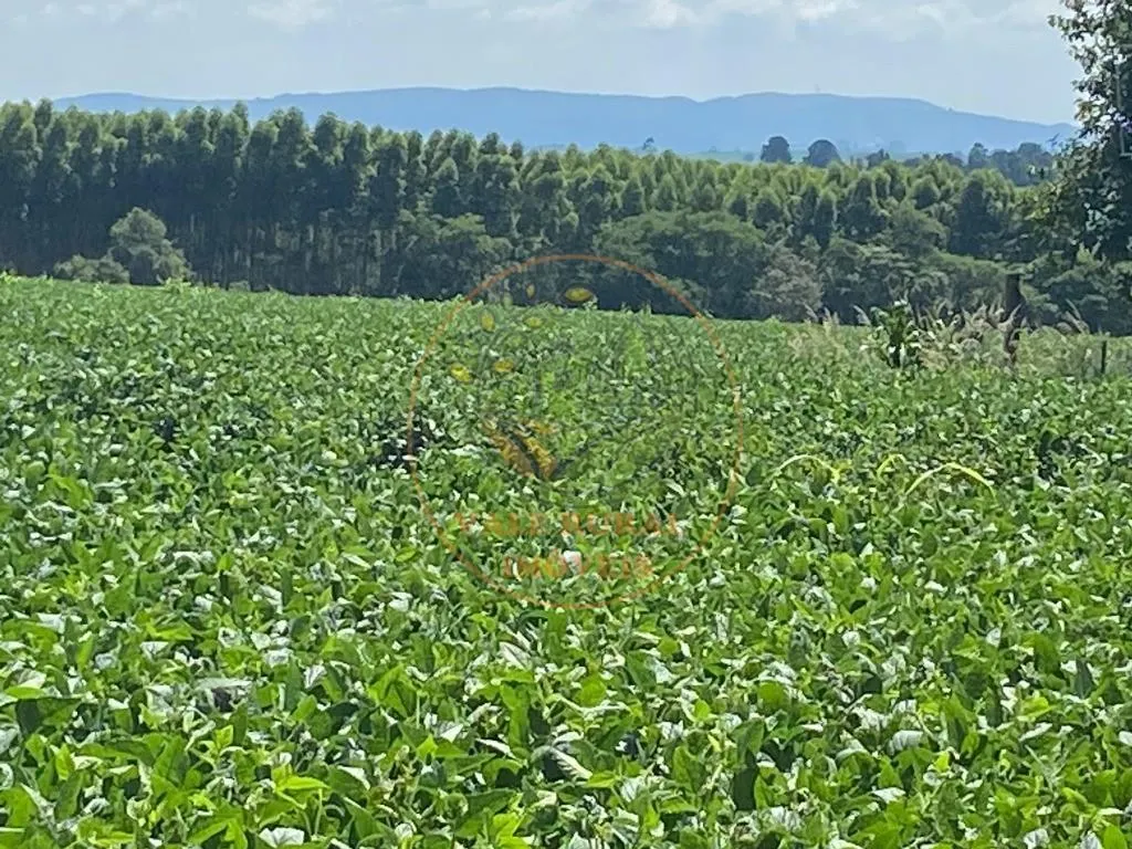Fazenda à venda de 140 ha em Itapetininga, SP, Brasil