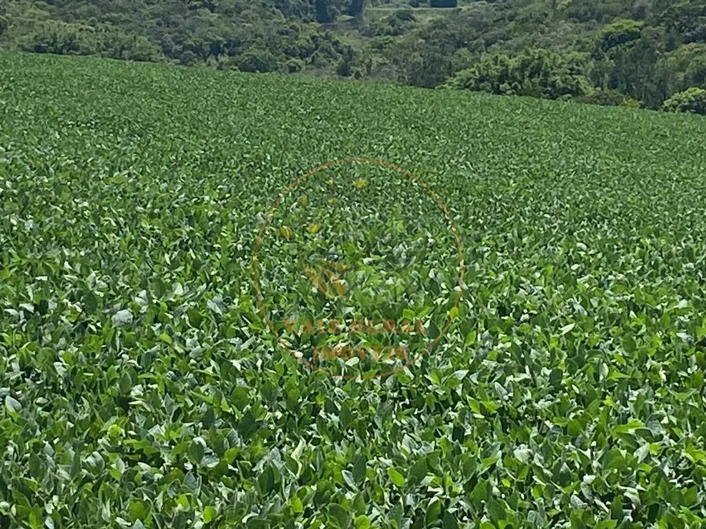 Fazenda à venda de 140 ha em Itapetininga, SP, Brasil