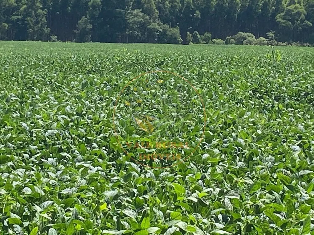Fazenda à venda de 140 ha em Itapetininga, SP, Brasil
