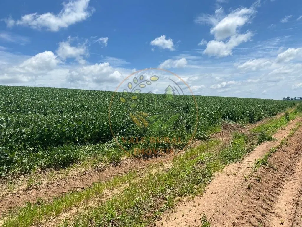Fazenda à venda de 140 ha em Itapetininga, SP, Brasil