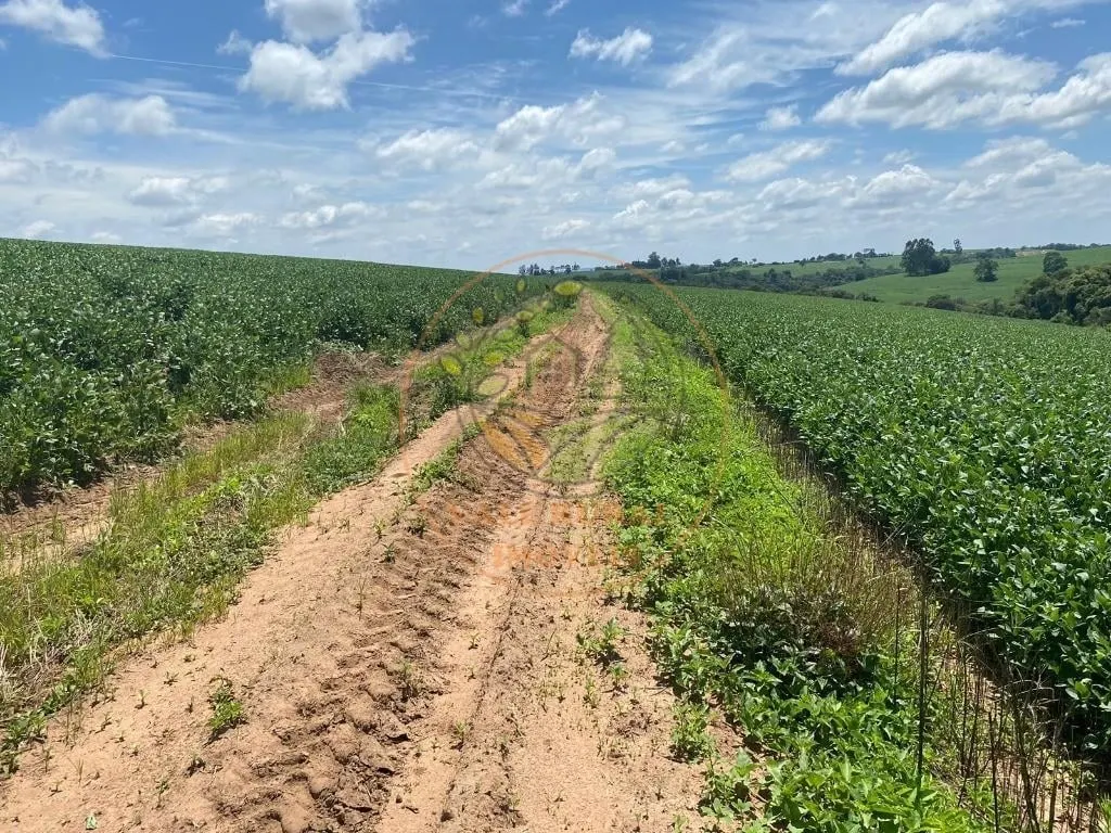 Fazenda à venda de 140 ha em Itapetininga, SP, Brasil