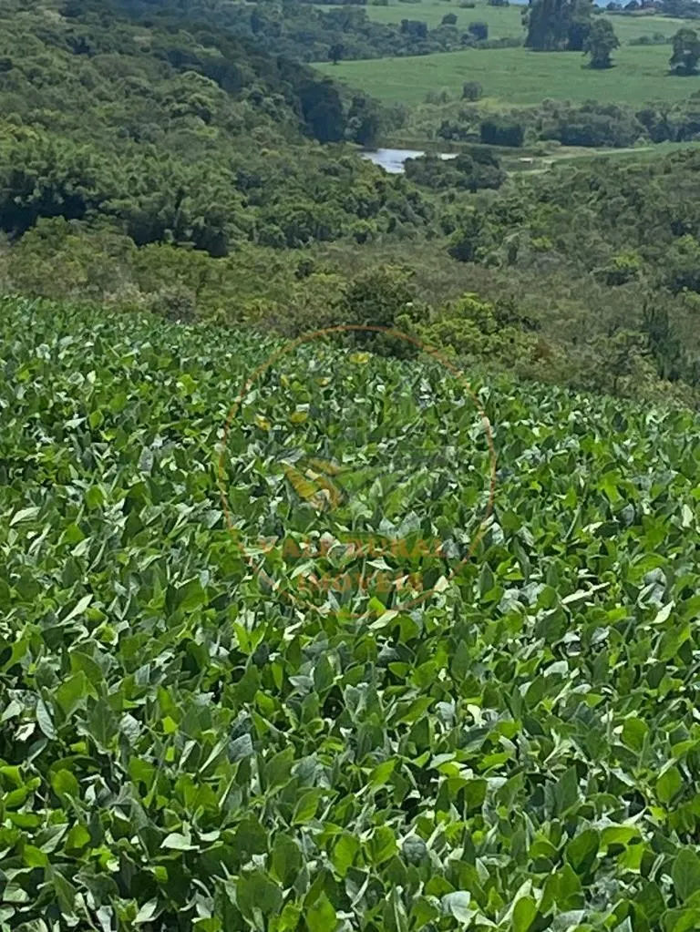 Fazenda à venda de 140 ha em Itapetininga, SP, Brasil