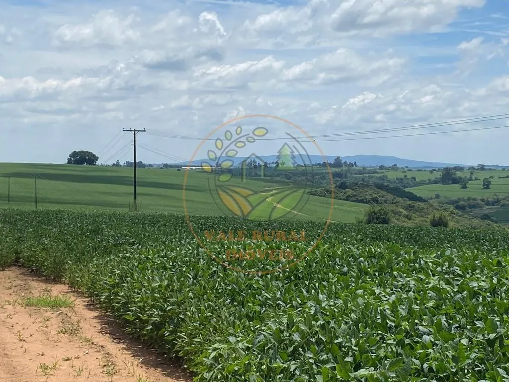 Fazenda à venda de 140 ha em Itapetininga, SP, Brasil