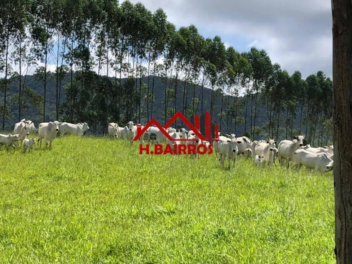 Fazenda à venda de 315 ha em Guaratinguetá, SP, Brasil