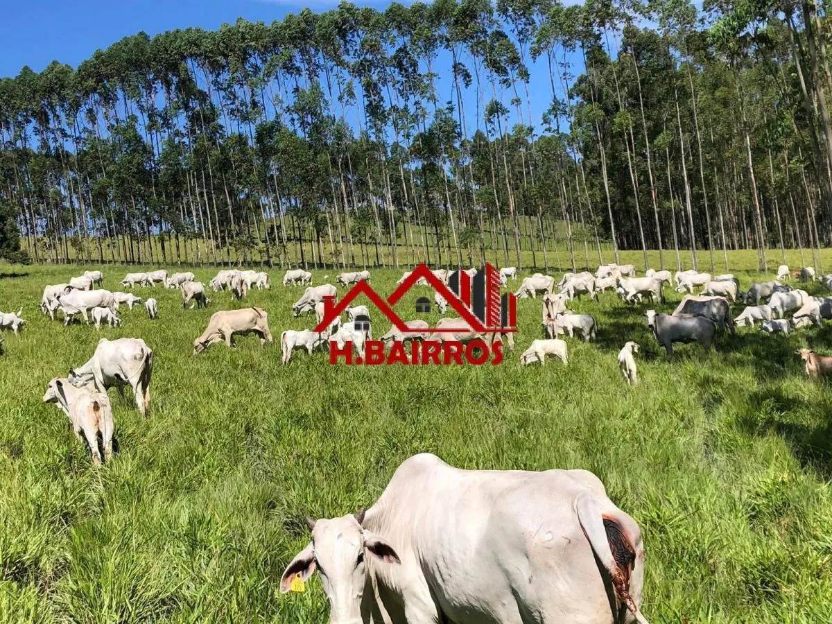 Fazenda à venda de 315 ha em Guaratinguetá, SP, Brasil