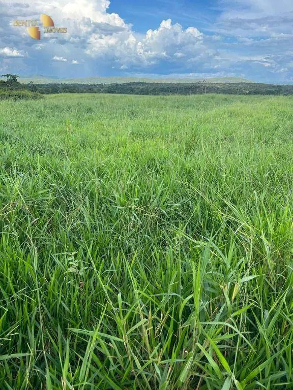 Fazenda à venda de 214 ha em Planalto da Serra, MT, Brasil