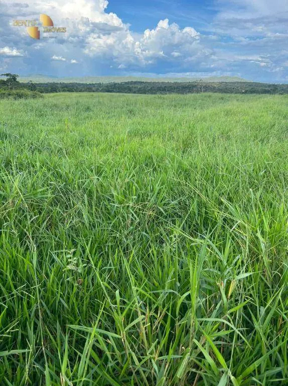 Fazenda à venda de 214 ha em Planalto da Serra, MT, Brasil