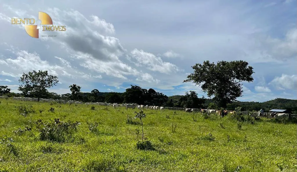Fazenda à venda de 214 ha em Planalto da Serra, MT, Brasil