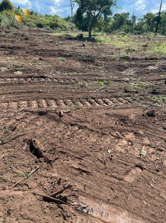 Fazenda à venda de 214 ha em Planalto da Serra, MT, Brasil