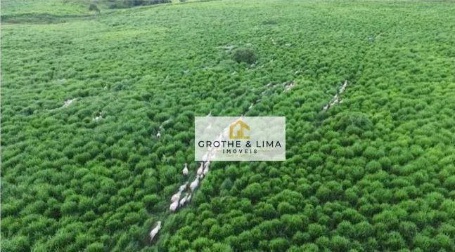 Fazenda à venda de 14.800 ha em Uruará, PA, Brasil