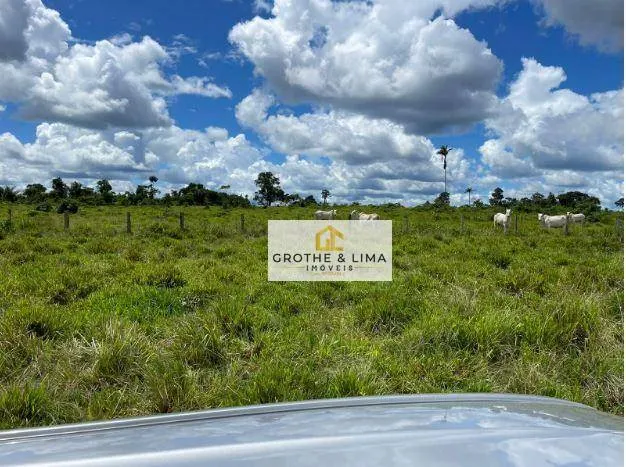 Fazenda à venda de 14.800 ha em Uruará, PA, Brasil