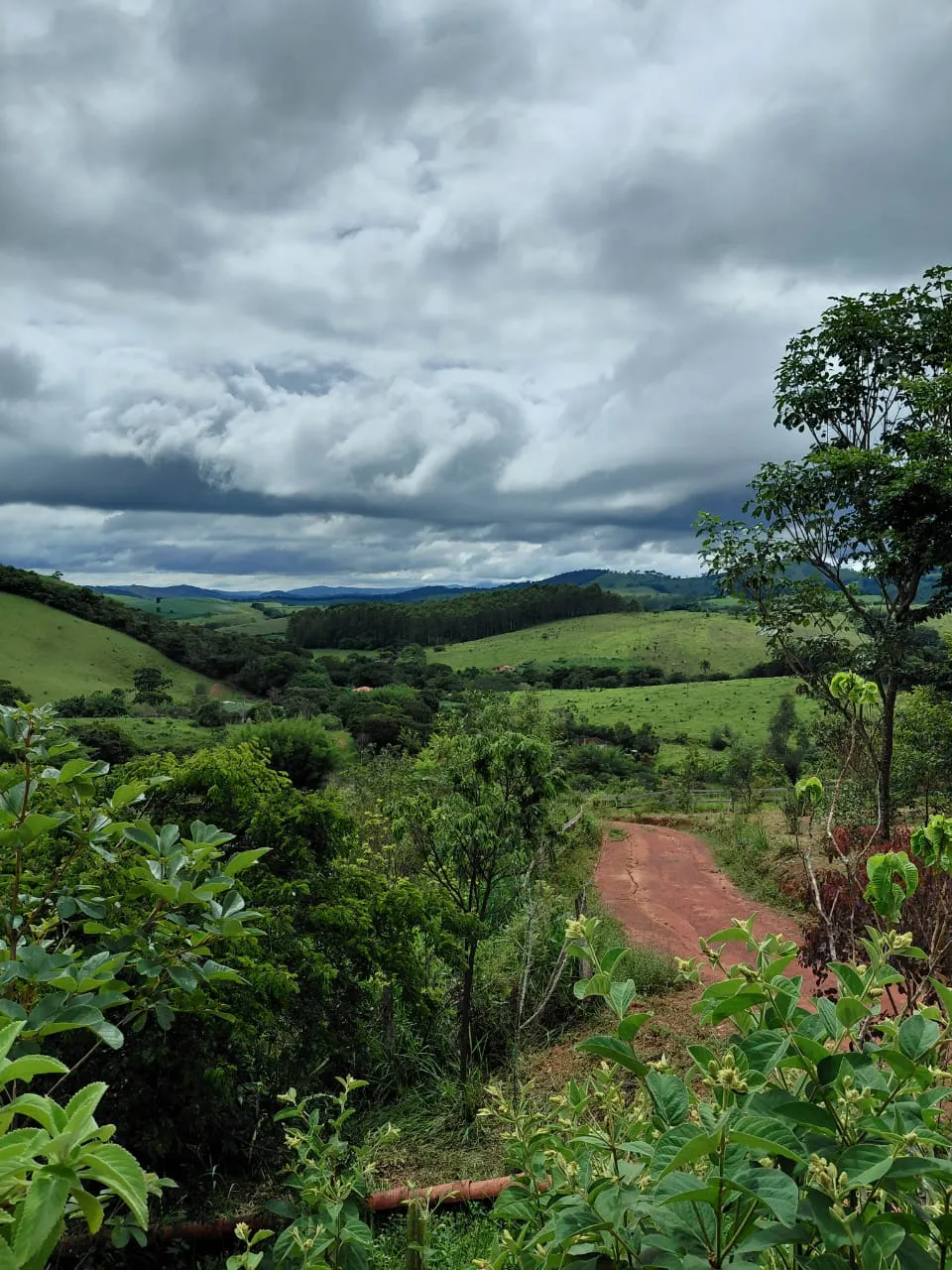 Sítio à venda de 9 ha em Soledade de Minas, MG, Brasil