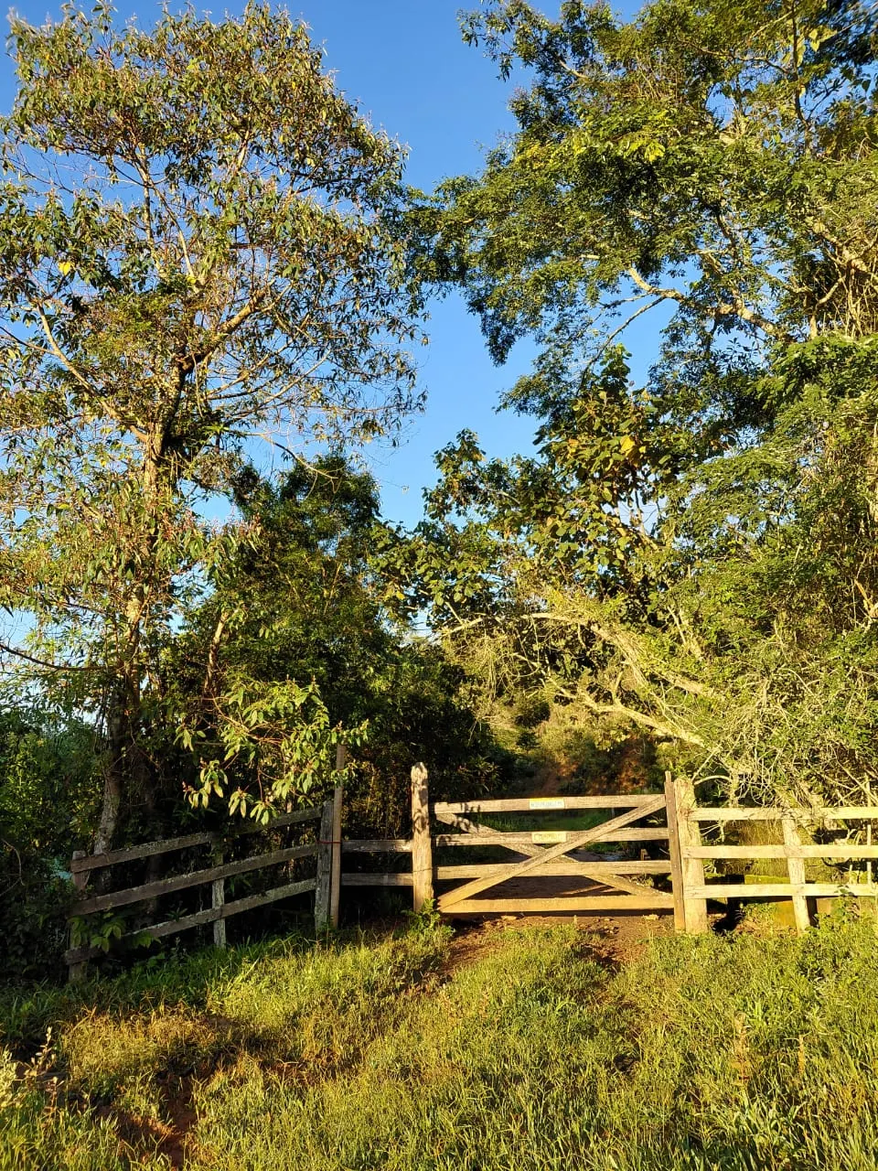 Sítio à venda de 9 ha em Soledade de Minas, MG, Brasil