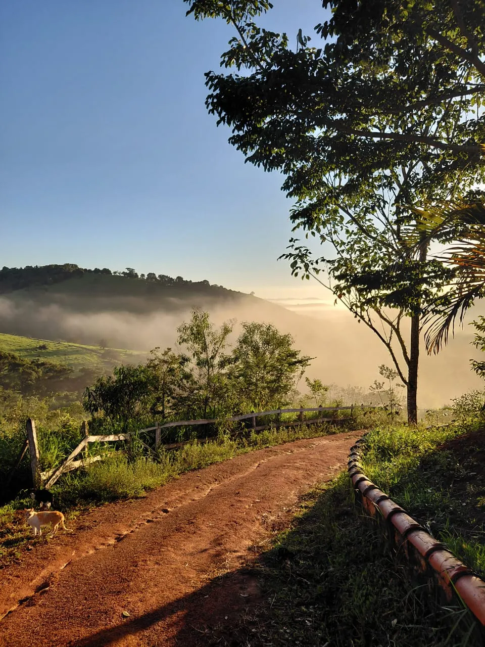Sítio à venda de 9 ha em Soledade de Minas, MG, Brasil