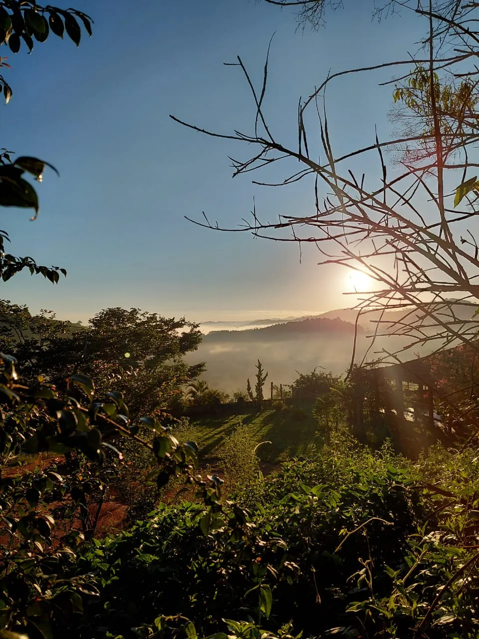 Sítio à venda de 9 ha em Soledade de Minas, MG, Brasil